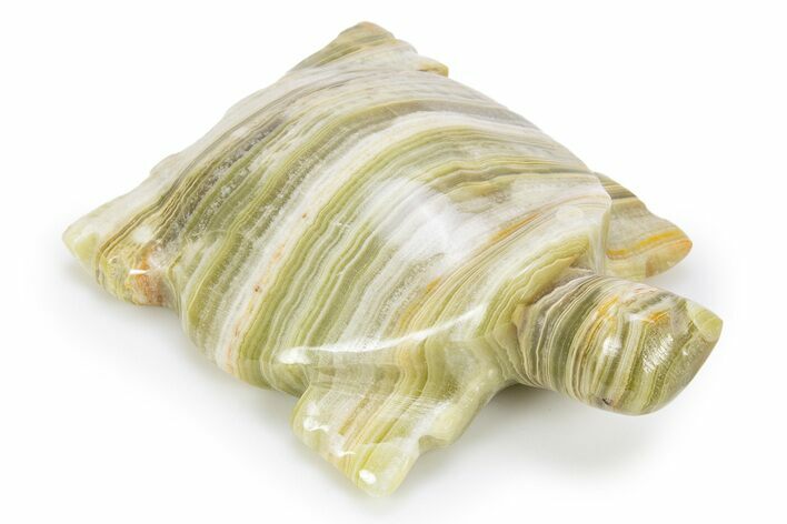 Carved Green Banded Calcite Turtle - Pakistan #301402